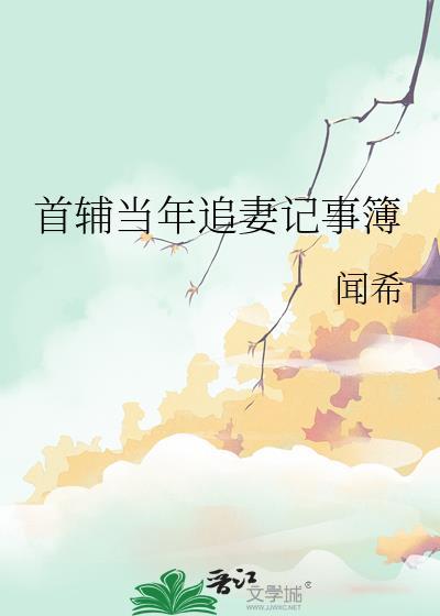 首辅当年追妻记事簿讲的是什么