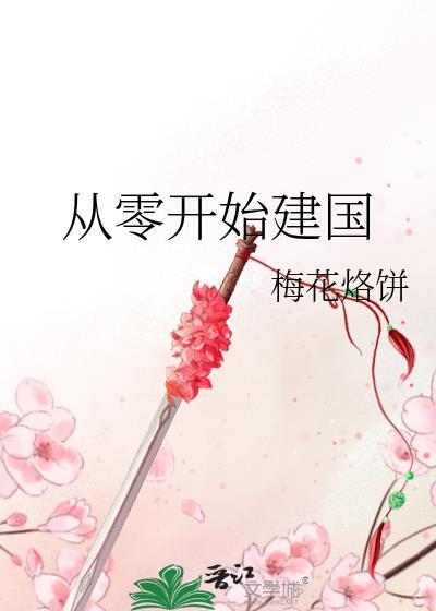 从零开始当国