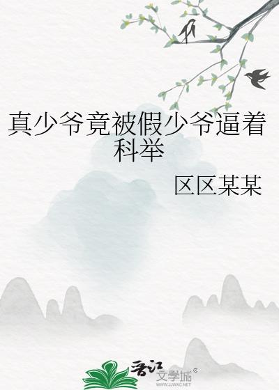 真假少爷文