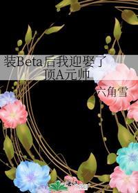 装beta后我迎娶了顶a元帅麻烦阅读