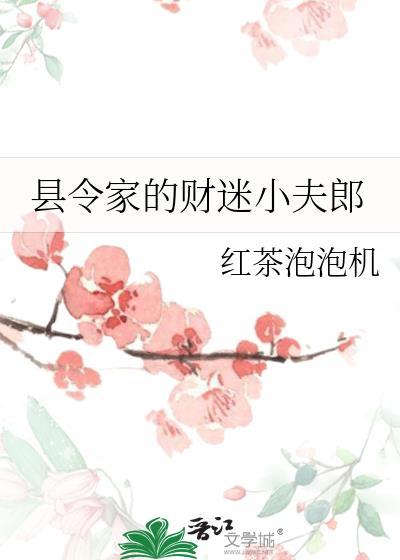 县令家的财迷小夫郎by红茶泡泡机 pan