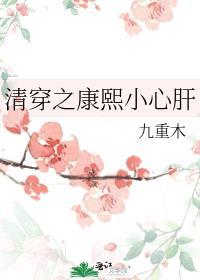 清穿之康熙小心肝免费阅读