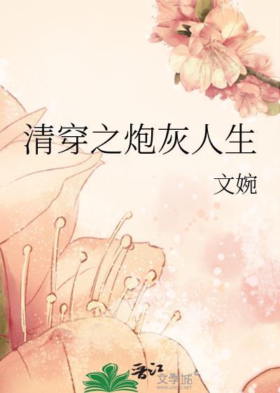 清穿炮灰