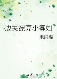漂亮的寡妇电视剧