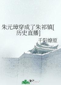 穿越成朱元璋儿子朱标的