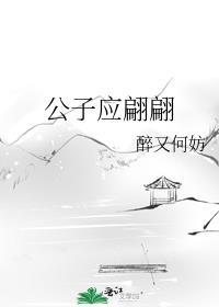 公子应翩翩剧透