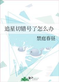 追星错了吗