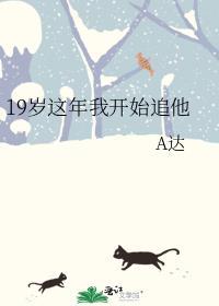 19岁这年我开始追他怎么回事