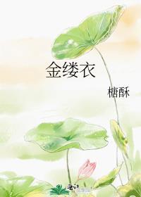 金缕衣免费阅读糖酥