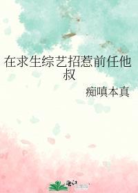黑暗史什么意思