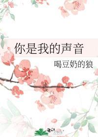 你是我的声音百度
