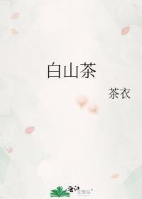 白山茶花图片