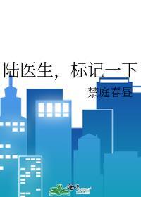 陆医生