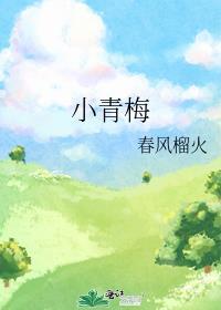 小青梅春风榴火TXT