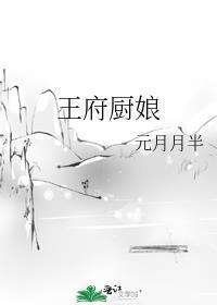 王府的厨娘宠妃