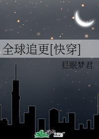 全球追妻令