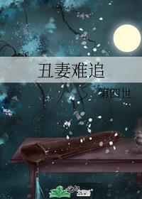 丑妻难追好看吗