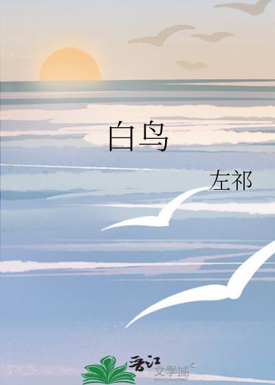 白鸟翔