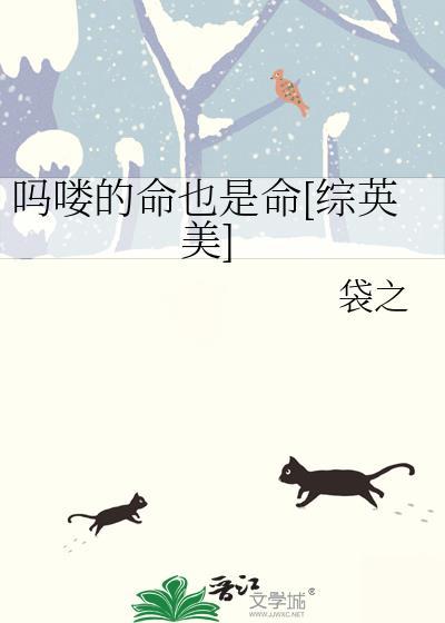 吗喽的命也是命[综英美]
