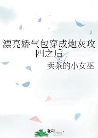 漂亮娇气包穿成炮灰攻四之后