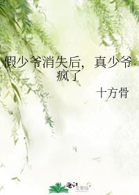 假少爷消失后,真少爷疯了