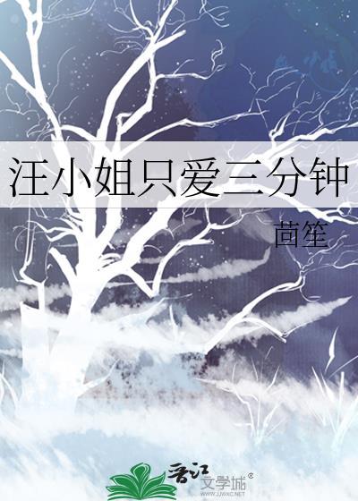 汪小姐只爱三分钟