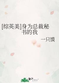 [综英美]身为总裁秘书的我