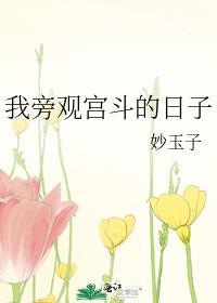 我旁观宫斗的日子