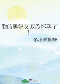 朕的男妃又双叒怀孕了!