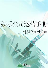 娱乐公司运营手册