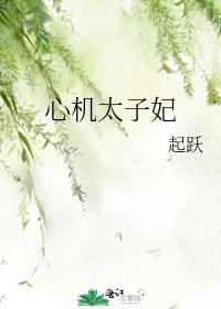 心机太子妃