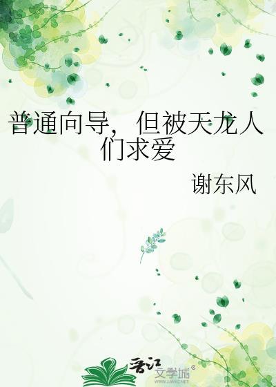 普通向导,但被天龙人们求爱