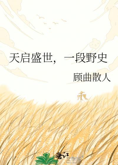 天启盛世，一段野史