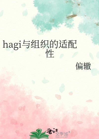 hagi与组织的适配性